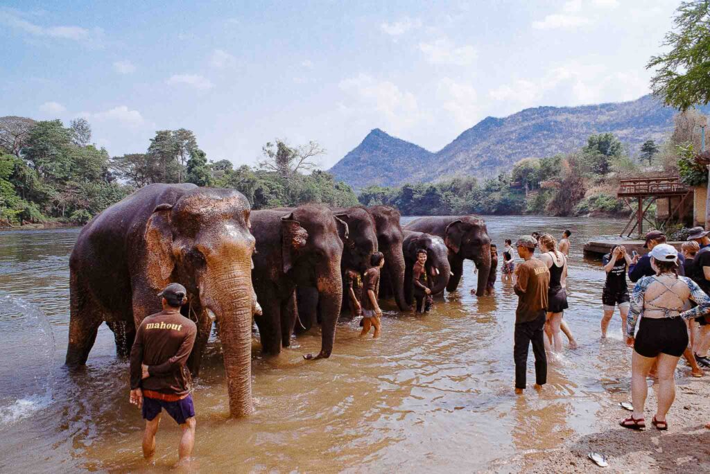 Elephant World Kanchanaburi