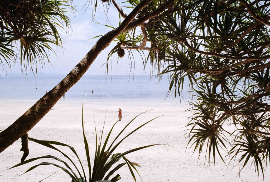 PARC NATIONAL MU KO LANTA
Koh Lanta, Thaïlande | Nikon F2 AS - Kodak Gold 200